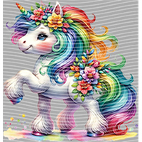 Rainbow Horse-RH 470
